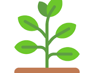 Agriculture & Farming